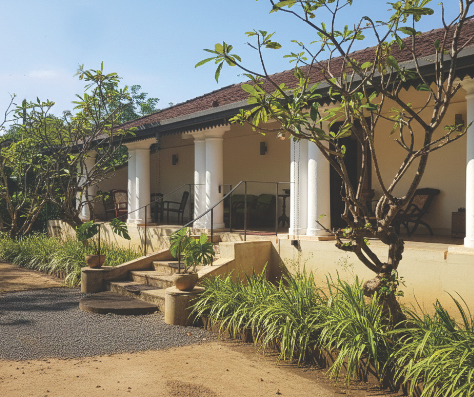 Traditional Sri Lankan spice garden scene